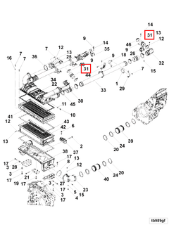 4331654 Image1