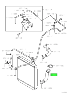 HOSE,RADIATOR,LWR 1