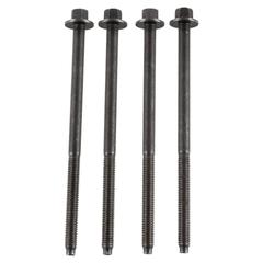 Bolt - M6 x 110MM (AT)