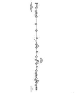 Figure 2506254C92