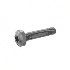 Screw