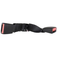 Seat Belt Receptacle And Buckle - Rear
