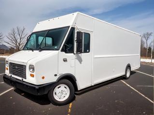 1993 Ford F59