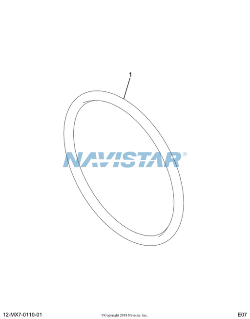 INDUSTRIAL SCIENTIFIC, Carrying Case, MX6, Carrying Case