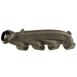 Exhaust Manifold - Right 5.0L