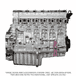 Detroit Diesel DD15 3/4 Engine 14.8L EPA10 with Rear Sump and 12 Lobe Camshaft