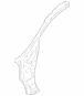 Body A-Pillar Reinforcement - Right, Inner