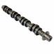 Engine Camshaft - Right