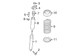 Coil Spring - Left, Right, Rear (RS)