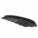 Bumper Grille - Front, Lower, Center
