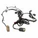 Socket and Wire Lamp - Rear