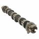 Engine Camshaft - Left