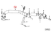 4943525 Image9