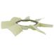 Engine Cooling Fan Clutch Blade - 2.3L