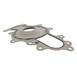 Engine Water Pump Gasket - 3.5L