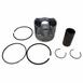Engine Piston And Pin - 6.4L