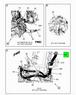 Figure 1BKMG