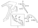 Body D-Pillar Molding Cover - Right