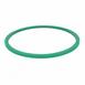 Fuel Pump Gasket (Lincoln LS)