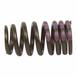 Engine Valve Spring