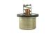 Thermostat Assembly, 160°F Weir, S60 14L DDEC IV