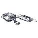 Wiring - 2.3L