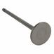 Engine Exhaust Valve