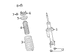 Coil Spring - Front