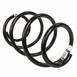 Coil Spring - Left, Right, Front