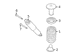 Coil Spring - Right, Rear