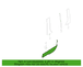 Body side Molding MOULDING Panel - Right, Front (CARGO VAN, WAGON)