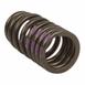 Engine Valve Spring