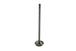 Intake Valve - S60 14L DDEC VI EPA07