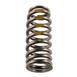 Engine Valve Spring - 1.5L