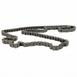Engine Timing Chain Belt/Chain - 5.0L