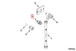 68043 Image2