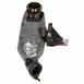 Catalytic Converter - 2.0L