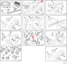 3823629 Image9