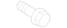 Automatic Transmission Oil Cooler Bolt Screw (AT)