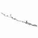 Fuel Hose Tube - 6.7L
