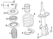 Coil Spring <br>Coil - Front 1.5L