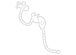 Brake Hydraulic Hose - Front