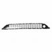 Bumper Grille - Front, Lower, Center