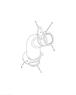 Figure 4051713C1