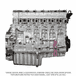Warranty Long Block with Rear Sump Oil Pan for Detroit Diesel DD15