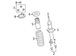 Coil Spring - Left, Front (XLT)
