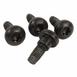 Seat Belt Lap and Shoulder Bolt Screw - M10 X 29MM, Rear (Extended Wagon)