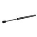 Hood Lift Support Gas - Left, Right