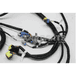 HARNESS-ENGINE PX-7 2013