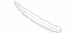 Bumper Grille - Front, Lower 5.0L